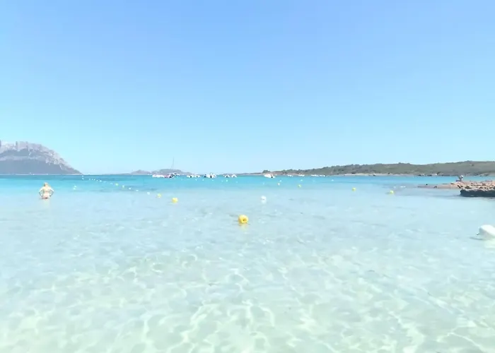 La Dimora Del Cuore - U1598 Holiday home *